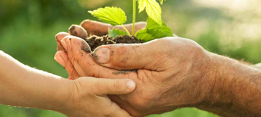Diritto agroalimentare