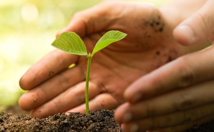 Articolo di Luigi Fino, pubblicato sulla Gazzetta del Mezzogiorno, sulle novità in materia di agricoltura biologica
